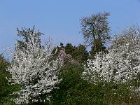 2009-04-16_14-52-46_0112