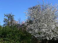 2009-04-21_09-16-58_0100