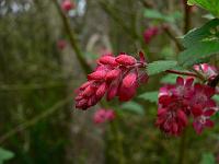 2009-04-13_07-43-24_0061