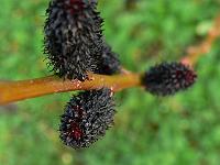 2010-04-06_07-50-39_0040