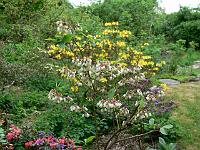 11-05-2007_18-07-52_55