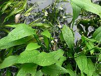 06-09-2006_15-00-25_11