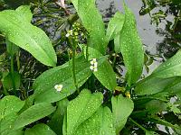 06-09-2006_15-00-48_17