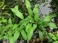 06-09-2006_15-00-53_18