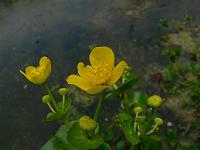 23-04-2007_19-28-14_44