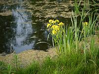 2012-05-26_17-40-32_0319