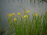 2014-05-21_16-28-02_0172