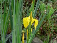 27-05-2006_20-20-59_277c