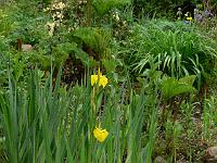 27-05-2006_20-21-16_281