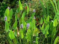 14-07-2007_13-32-52_06